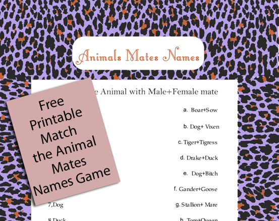 Free Printable Match the Animal Mates Names Game