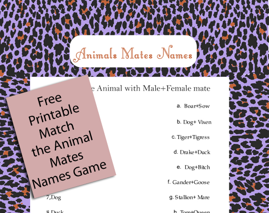 Free Printable Match the Animal Mates Names Game 